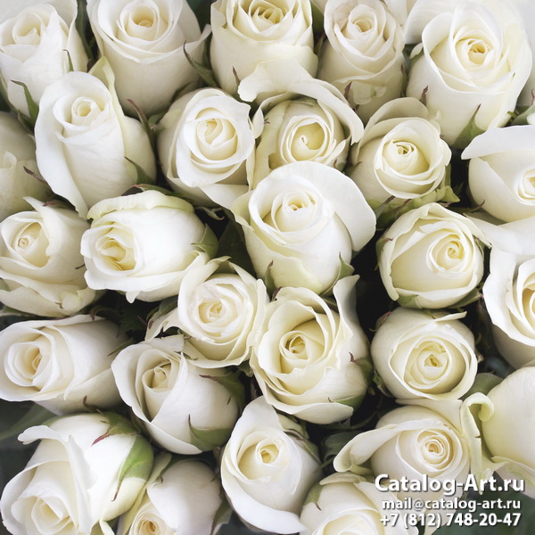 White roses 5